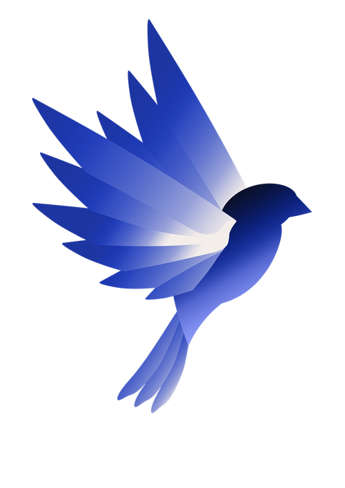 logo  bird  blue