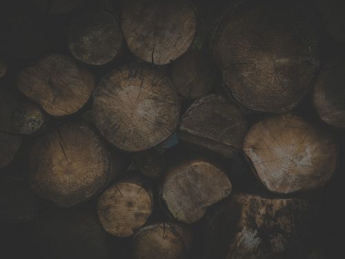 logs wood wood logs