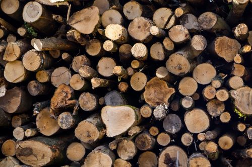 logs wood woodpile