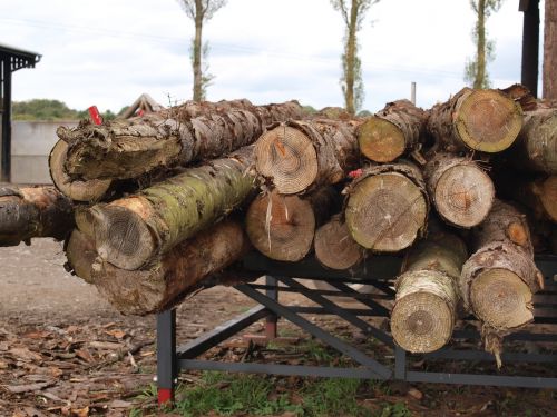 logs wood timber