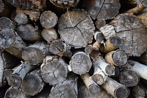 logs  wood  timber