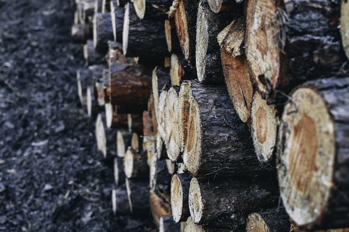 logs  close up  wood