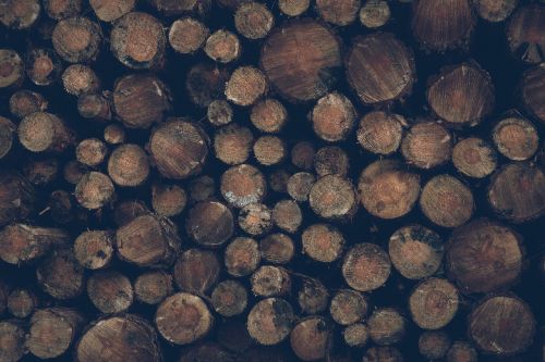 logs timber wood