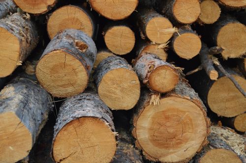 logs wood stack
