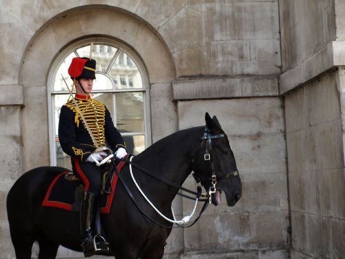 london guard horse