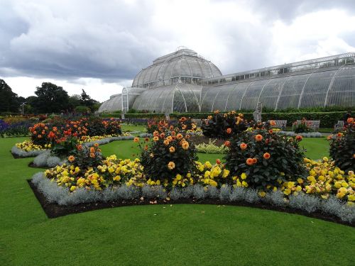 london kew gardens greenhouse