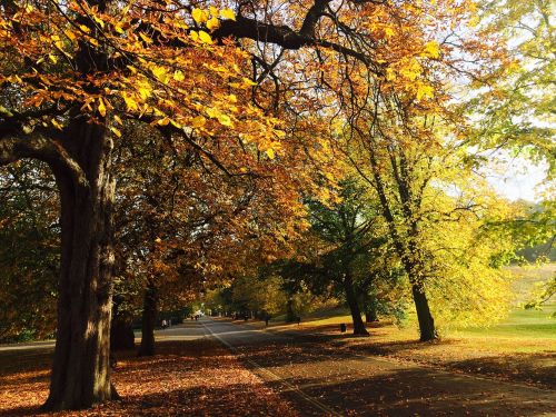 london park autumn