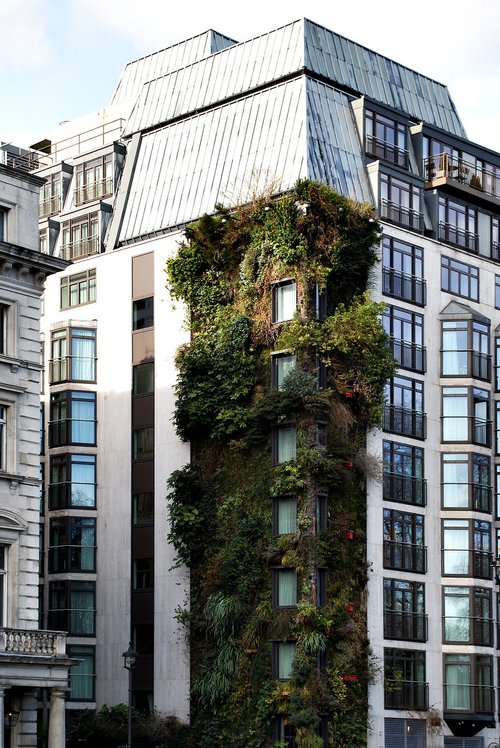 london  building  greening
