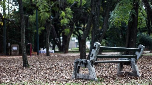 lonely bench lea