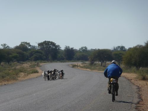 lonely africa cyclist
