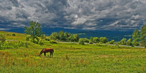lonely horse pasture land before the storm