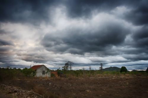 Lonely House