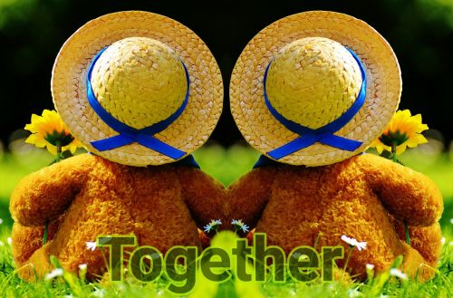 look together into the future together bear