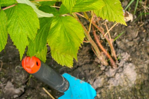 Shovel With Soil In The Garden