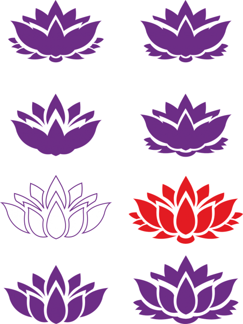 lotto flower buddhism