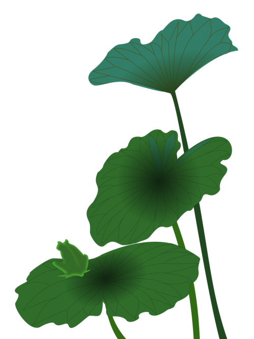 lotus frog green