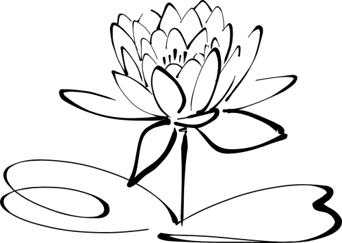 lotus flower line art