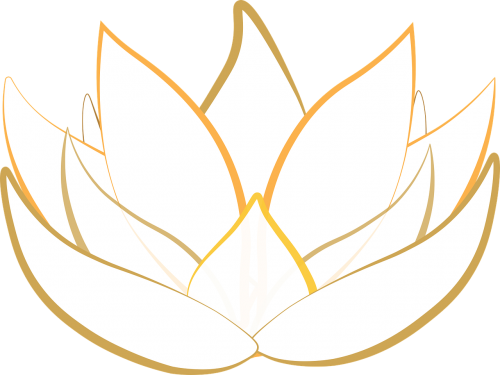 lotus transparent blossom