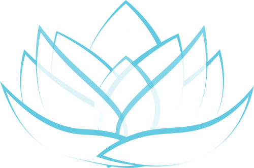lotus transparent blossom
