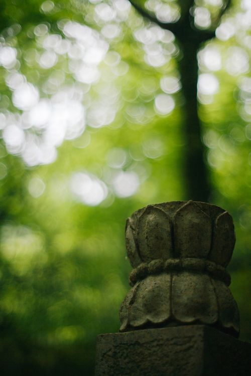 lotus forest stone carving