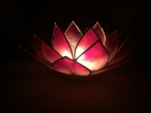 lotus candle light