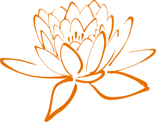 lotus blossom flower