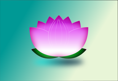 lotus  flower  nature