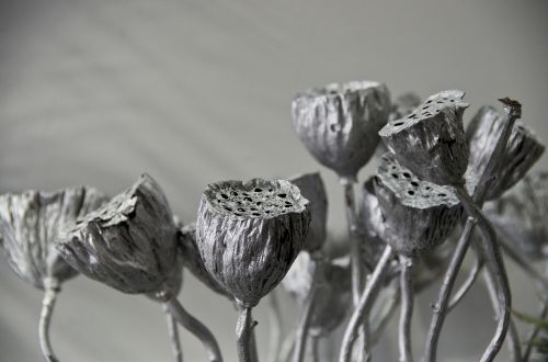 lotus root silver ornament