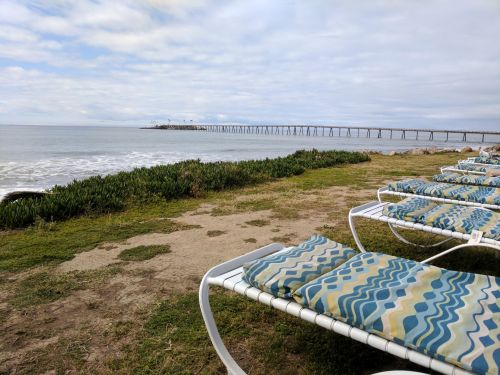 Lounge Chairs By The Ocean