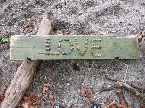 love sand panel