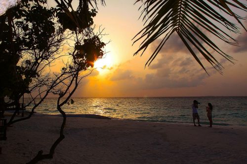 love beach sea