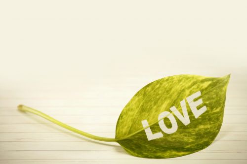love leaf green