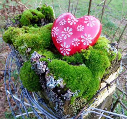 love heart decoration