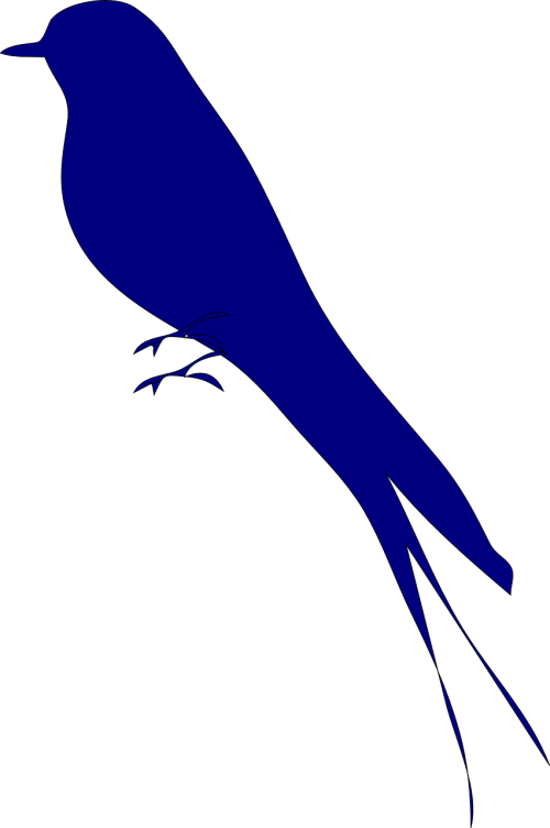 love bird bird blue