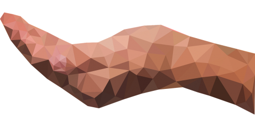 low poly polygon triangles