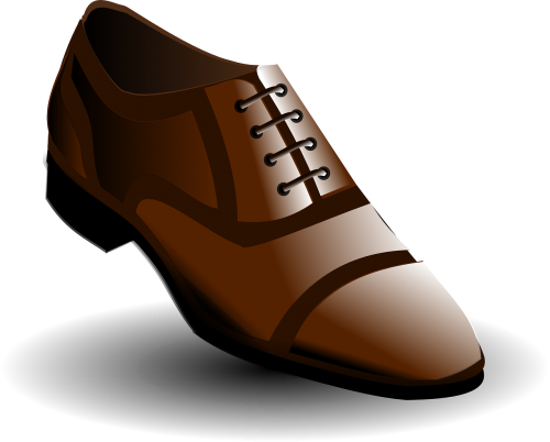 low shoe shoe brown