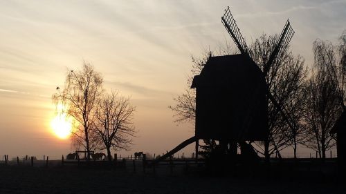 lower saxony windmill horses