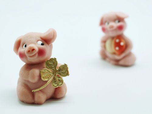 luck piglet lucky pig