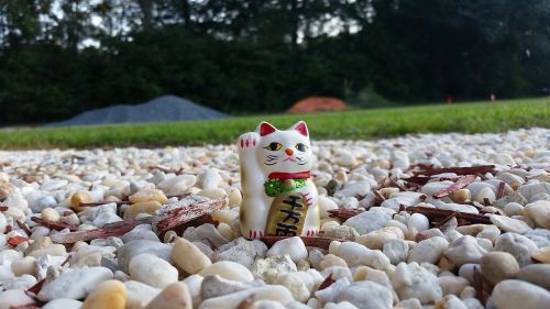 lucky cat neko