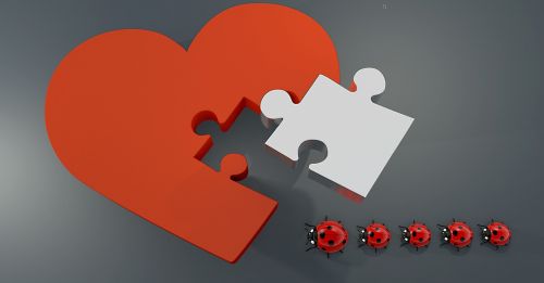 lucky ladybug heart puzzle