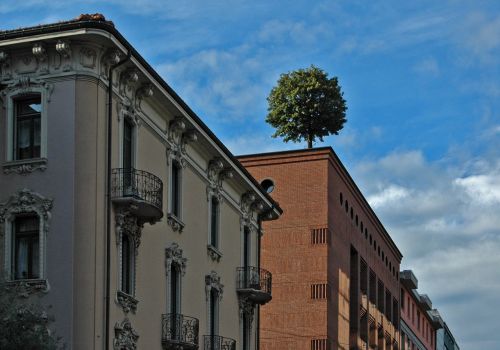 lugano tree city