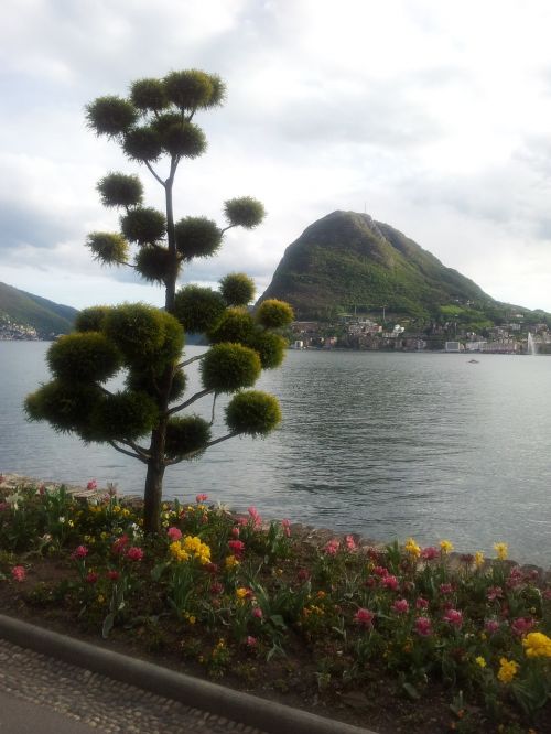 lugano lake water