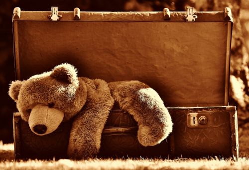 luggage antique teddy