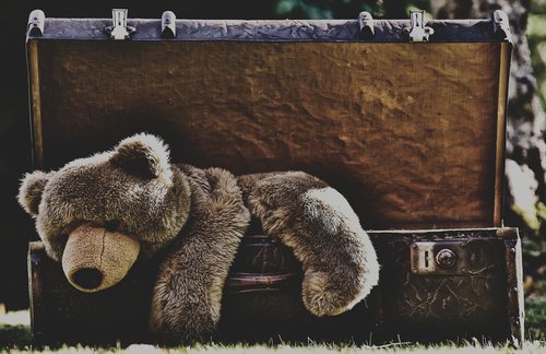 luggage  antique  teddy