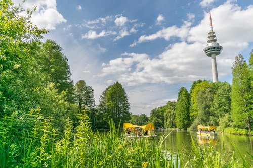 luisenpark  park  mannheim