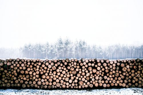 lumber winter wood