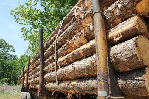 lumber trailer wood