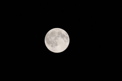 luna night full moon