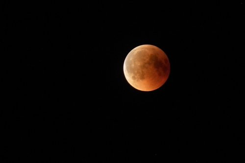 lunar eclipse  night  moon