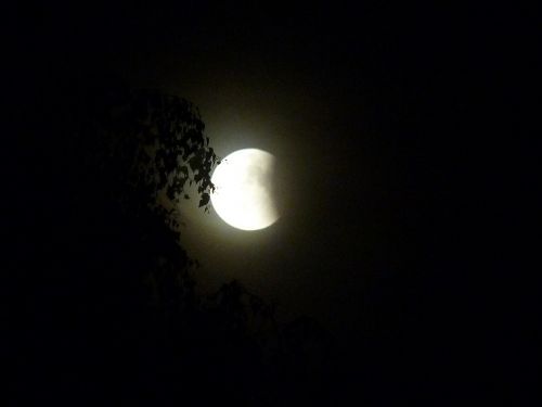lunar eclipse night moon